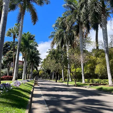 Apartamento Santo Domingo Santa Cruz de Tenerife